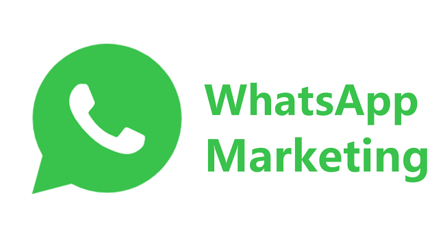 史上最全攻略！外貿(mào)人不可不知的WhatsApp破局秘籍---泉港外貿(mào)網(wǎng)站推廣-泉港googled 推廣-泉港google 優(yōu)化